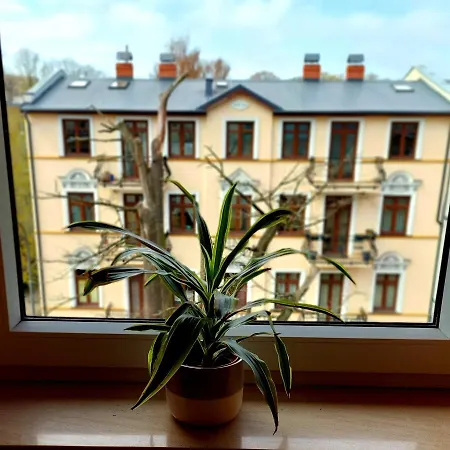 Apartament Pacific 2 / Pokoje Apartmán *